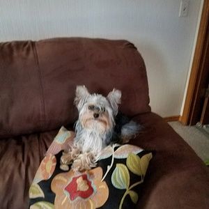 Meet your Posher, Sonia